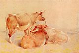 Cattle Canvas Paintings - Cattle Resting (2 of 2)